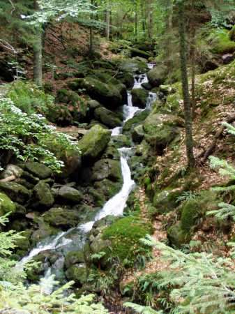 Wasserfall unterhalb des Kl. Arbersee